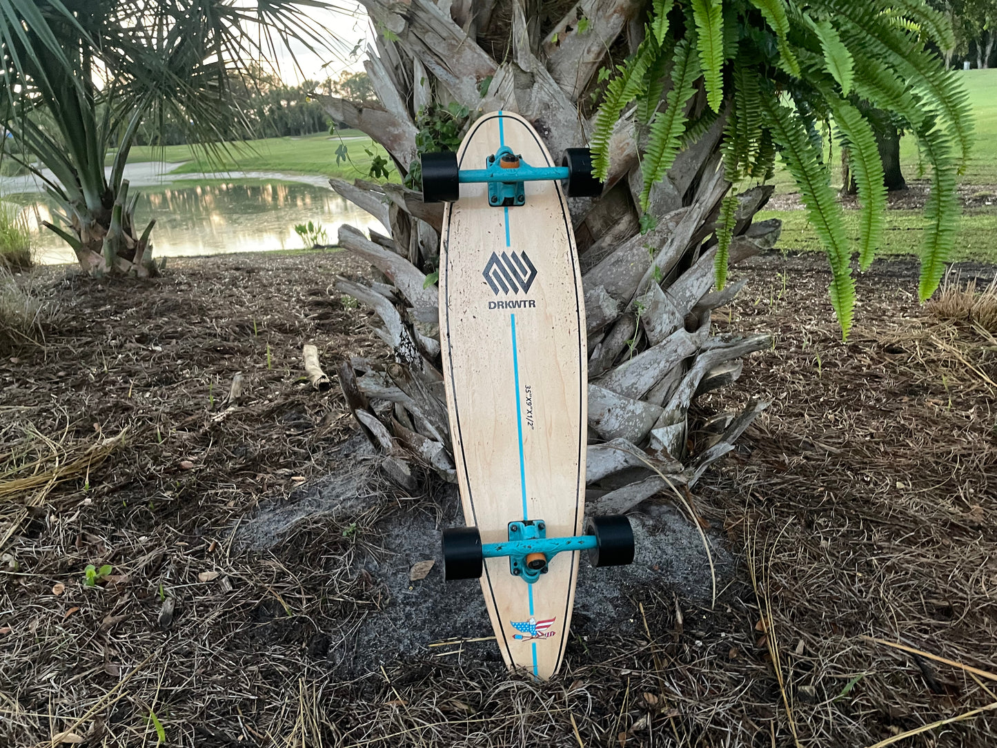 Palm Tree Pintail Complete